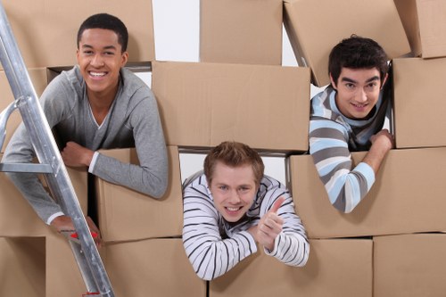Eco-friendly moving practices with a van